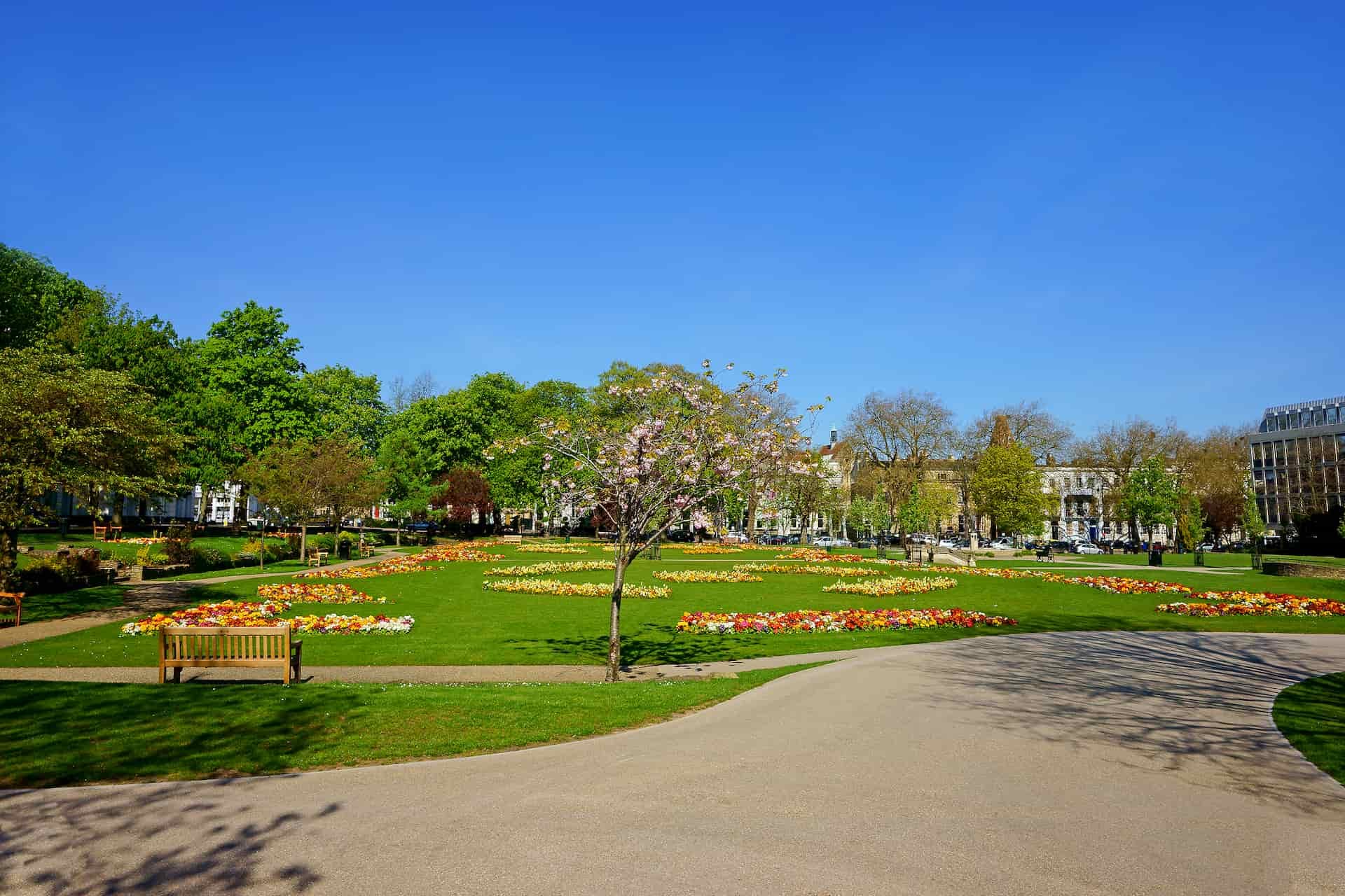 Cheltenham park with blue sky